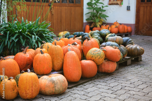 Pumpkins on seasonal market in Germany  
