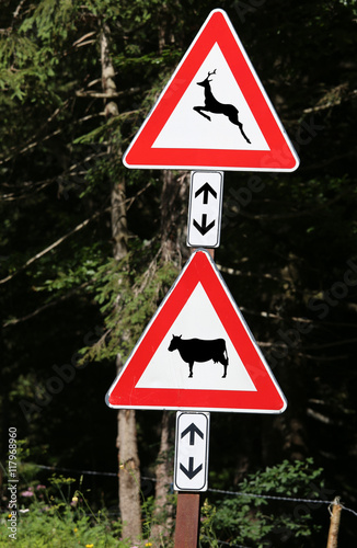 road signs near the wood caution crossing animals cow and deer