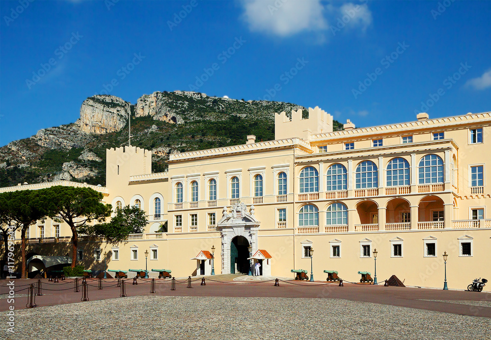 Obraz premium Дворец в Монако