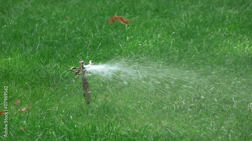 Sprinkler irrigation in park photo