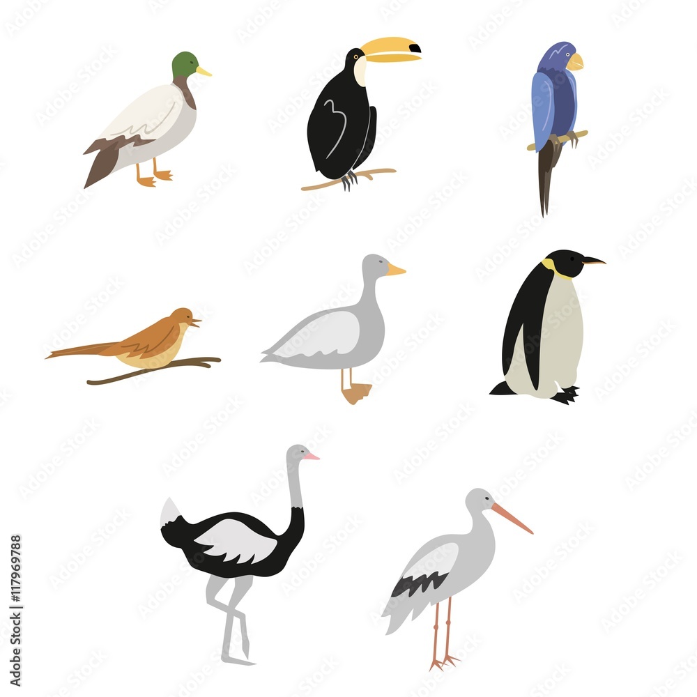 Obraz premium Cartoon birds vector set