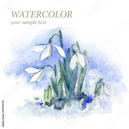 Spring snowdrop flowers with snow in the forest. Postcard.
Watercolor. Vector. Background.
