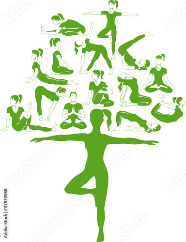 Yoga tree