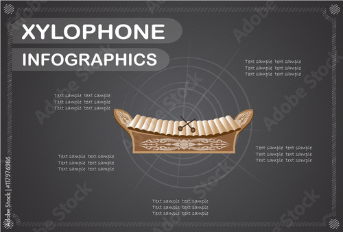 Xylophone  infographics, Vector illustration.