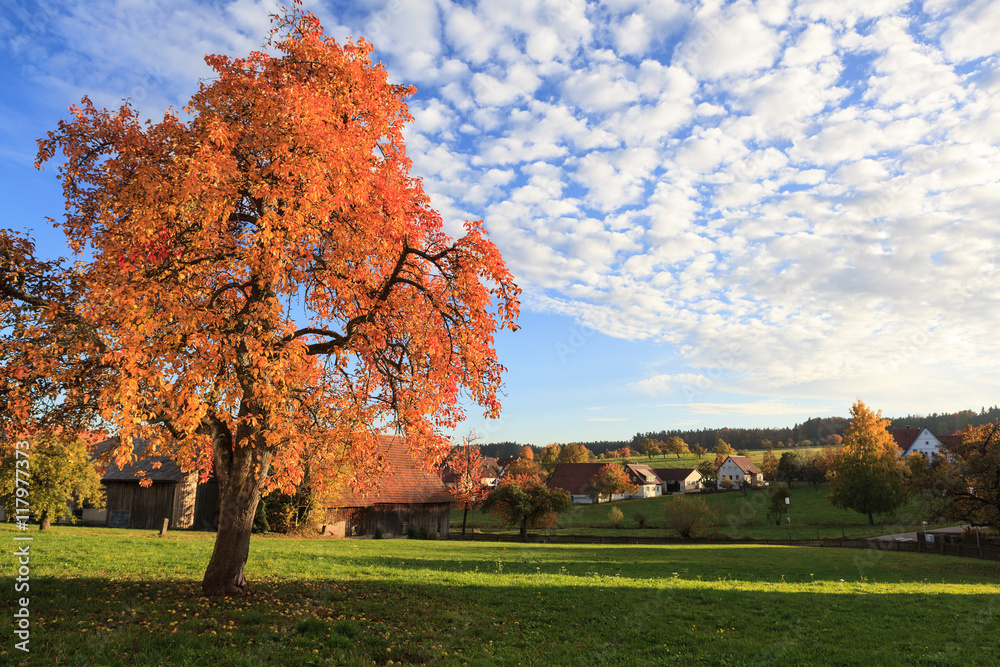 Autumn landscape, Germany