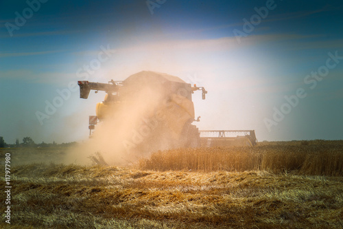   Harvest grain harvest harvesting © kocsisanyi78