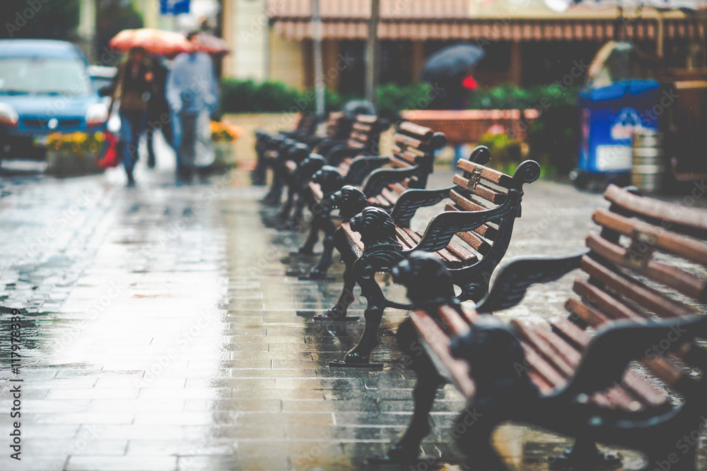Obraz premium Empty benches with decorative lions stand on the wet street