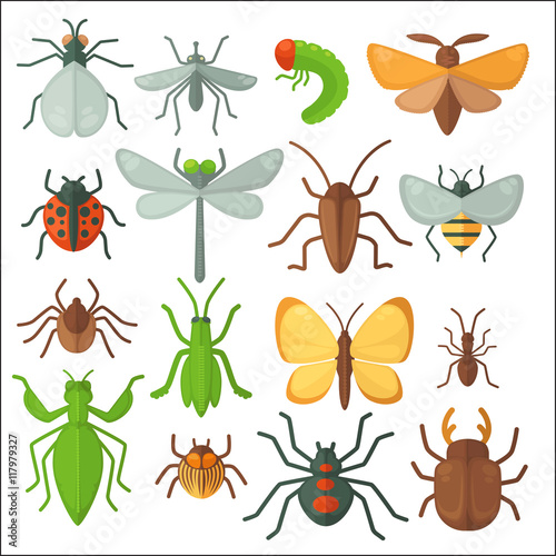 Set of various insects: butterfly, fly, beetle, dragonfly, spider, bee and ladybug. © Sonulkaster