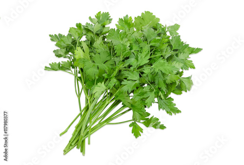 Bunch of parsley on a light background