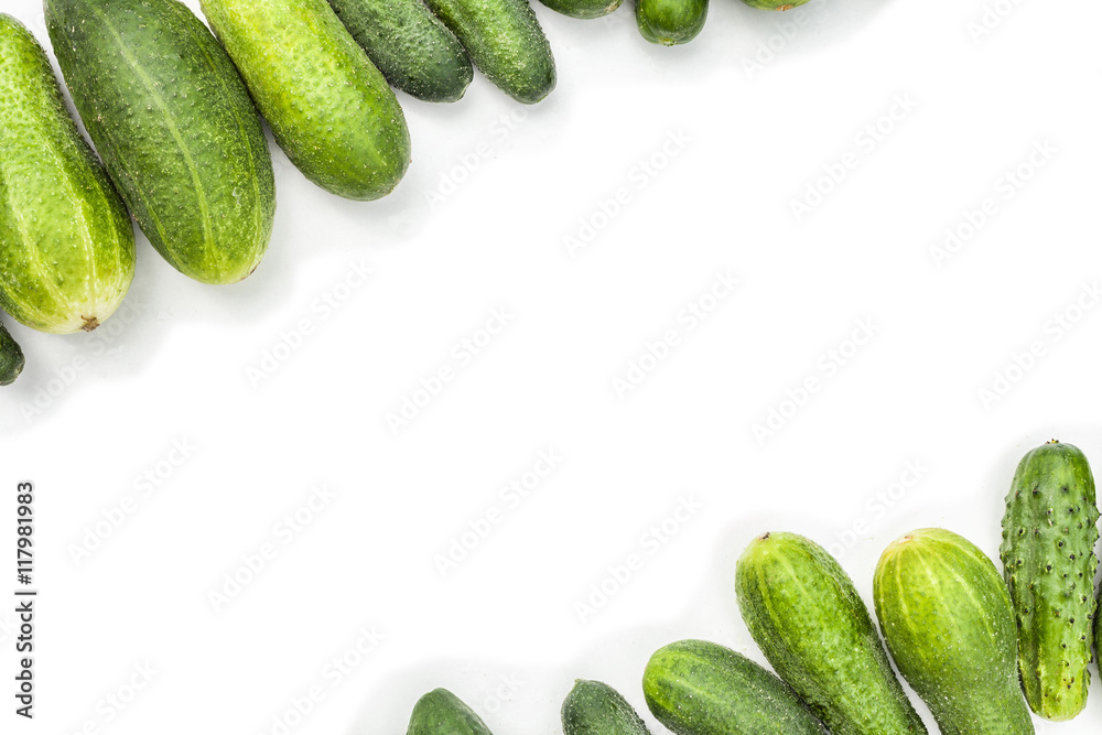 Border of fresh green cucumber group. Gherkins obliquely on top and
