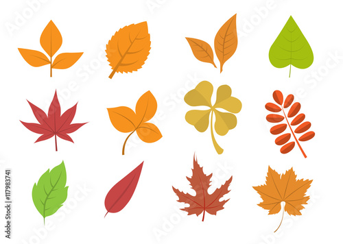 Herbst / Blätter / Vektor