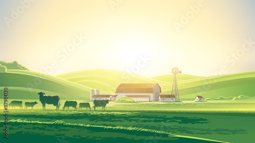 Rural dawn landscape with milk farm and herd cows.