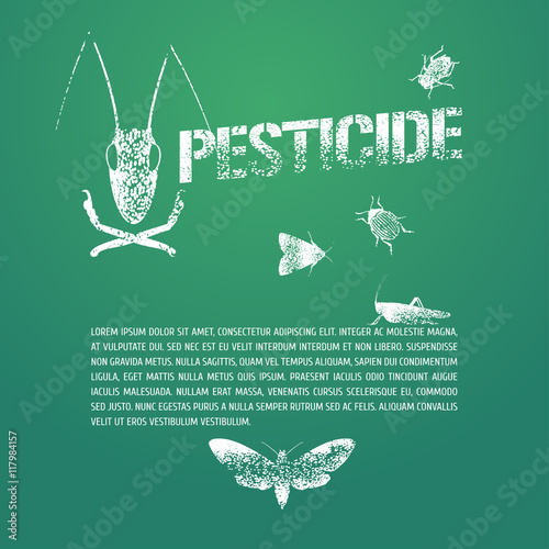 Set of pest insects and template bodycopy vector illustration