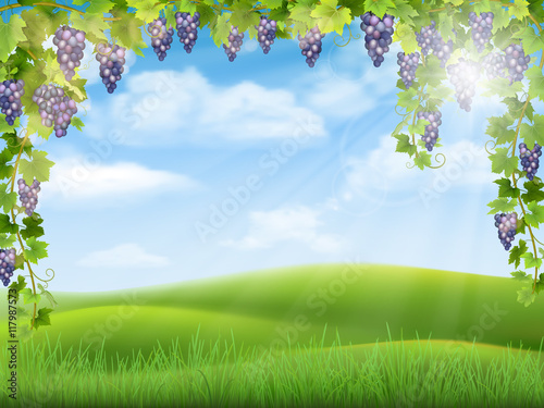 Bunches of grapes like frame on the background of the rural landscape with valley, hills and sky. Vector illustration about the harvest and winemaking. 
