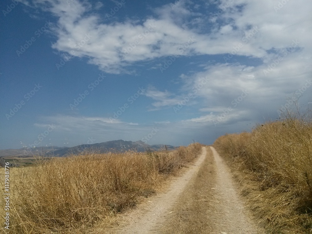 Sicilian countryside