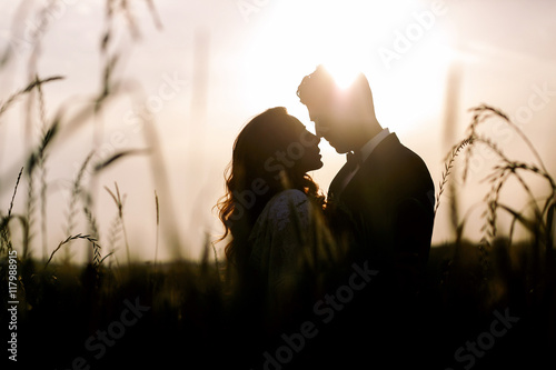 Silhouettes of wedding couple kissing in the field full of high photo