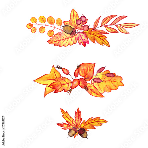 set of autumn leaves and berries