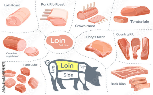 Collection Pork Meat cut. Loin part. Processed Agricultural Products. Guide shopping in supermarket.