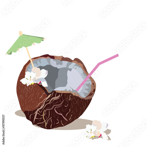 Fresh Coconut Vector isolated. Hand drawn watercolor on white background. Vec...