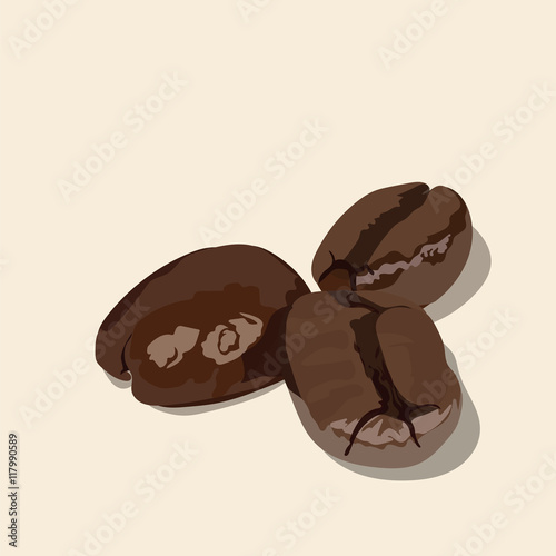 Roasted coffee beans isolated Vector