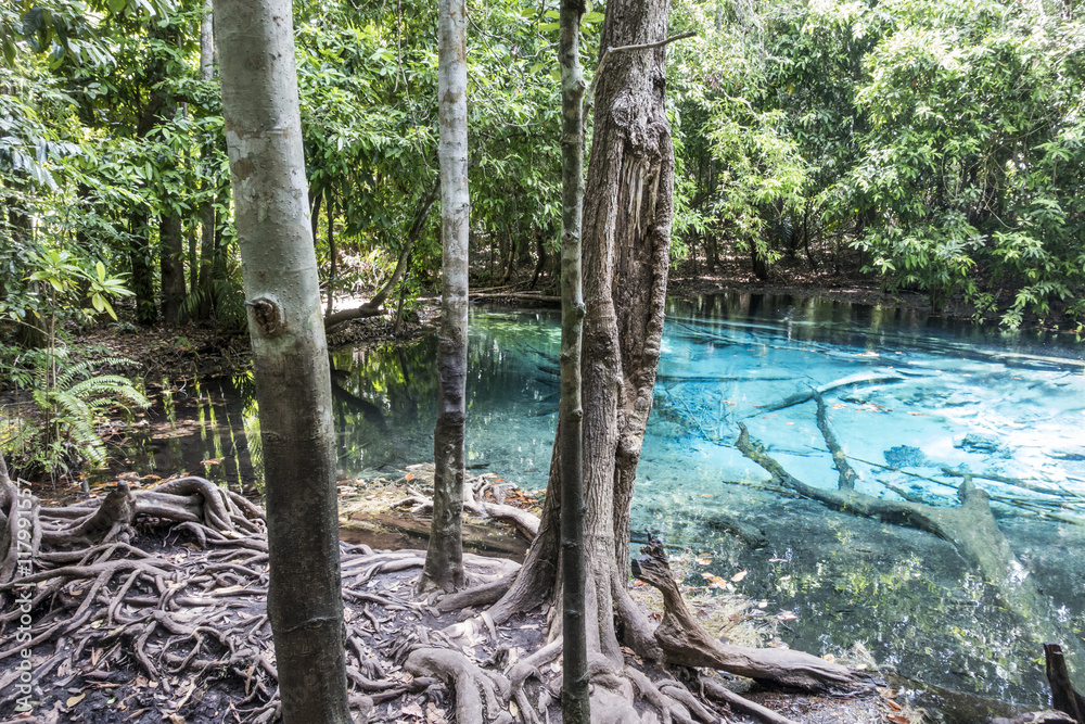 Thailand, Krabo, Emerald Pool in the rainforest Thailand, Krabo, Emerald Pool in the rainforest