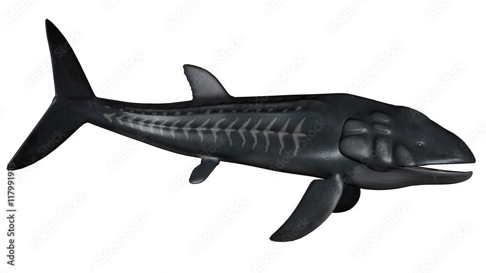 Fototapeta premium Leedsichthys prehistoric fish - 3D render