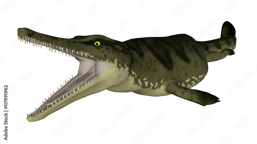Fototapeta premium Metriorhynchus prehistoric fish - 3D render