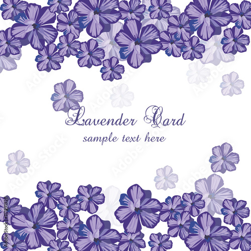 Lavender color flowers Card Border. Gentle blossom floral bouquet. Vintage Label with lavender beautiful fragrance. Vector
