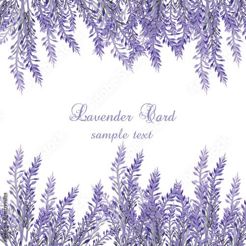Lavender Card with flowers in watercolor paint style Vector . Gentle blossom floral bouquet. Vintage Label with lavender beautiful fragrance