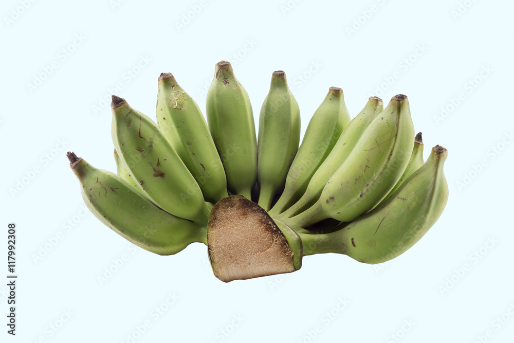 Bunch of bananas isolated on white background. Bunch of bananas isolated on white background.