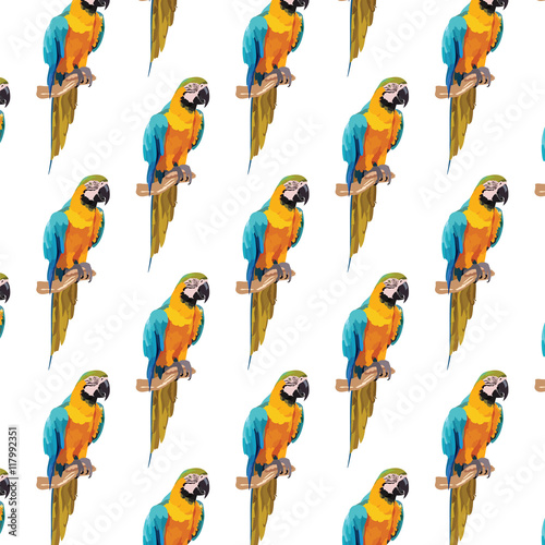 Colorful parrot pattern Vector