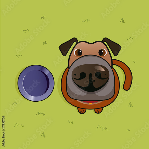 Dog with his Dog Bowl