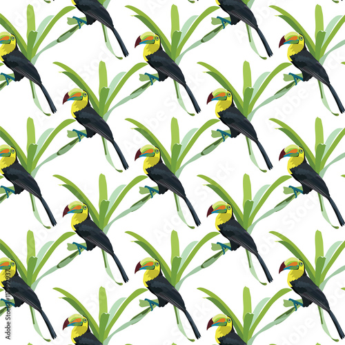 Toucan birds pattern Vector