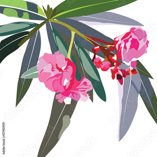 Tropic flowers branch Vector card. Tropic Exotic floral background
