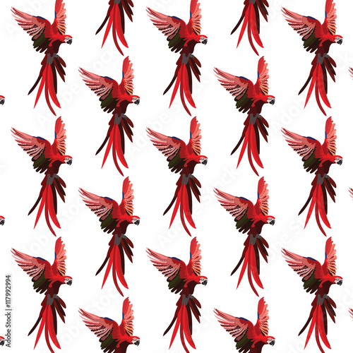 Colorful Red flying parrot Vector pattern background