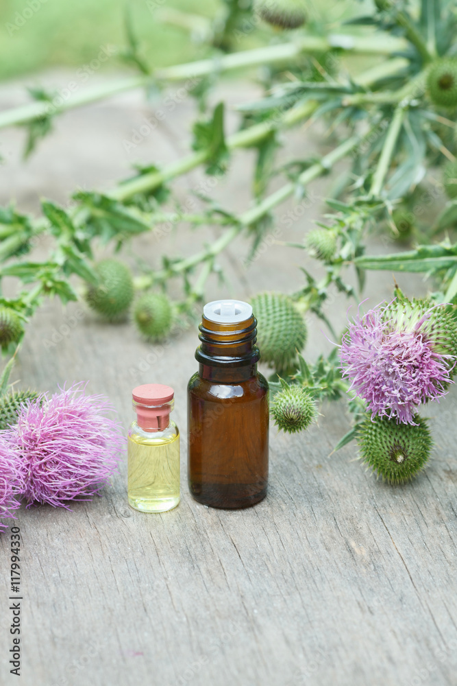 thistle oil container with thistle flowers thistle oil container with thistle flowers