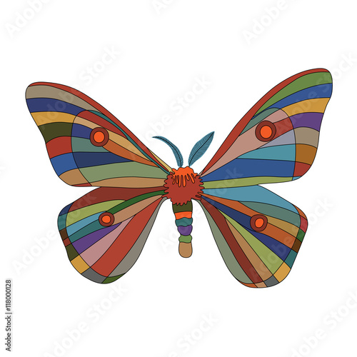 Fancy butterfly