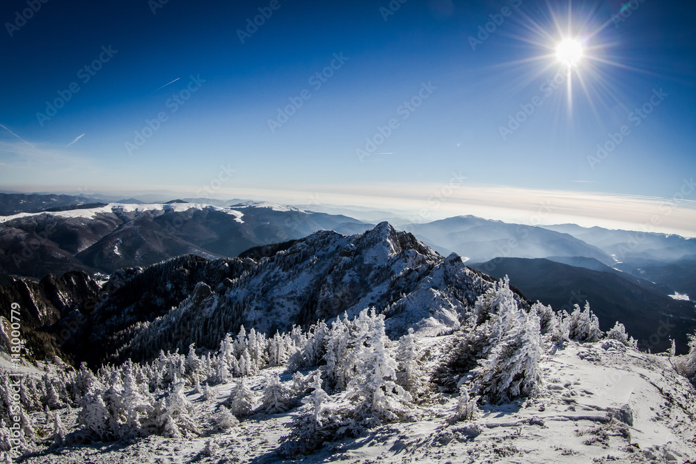 Obraz premium A panorama photo of winter landscape at sunset