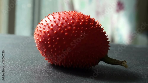 Video of Gac, Spring Bitter Cucumber, Momordica cochinohinensis Spring red ripe spiky tropical fruit photo