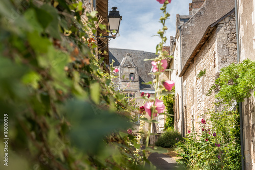 Photos Scene in Crissay Sur Manse, village in the Loire Valley