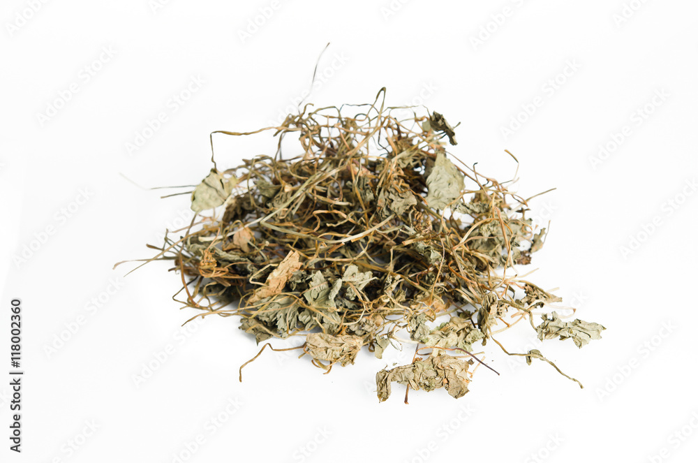 Dried Centella asiatica or Thankuni in Indian, Buabok in Thailan Dried Centella asiatica or Thankuni in Indian, Buabok in Thailan
