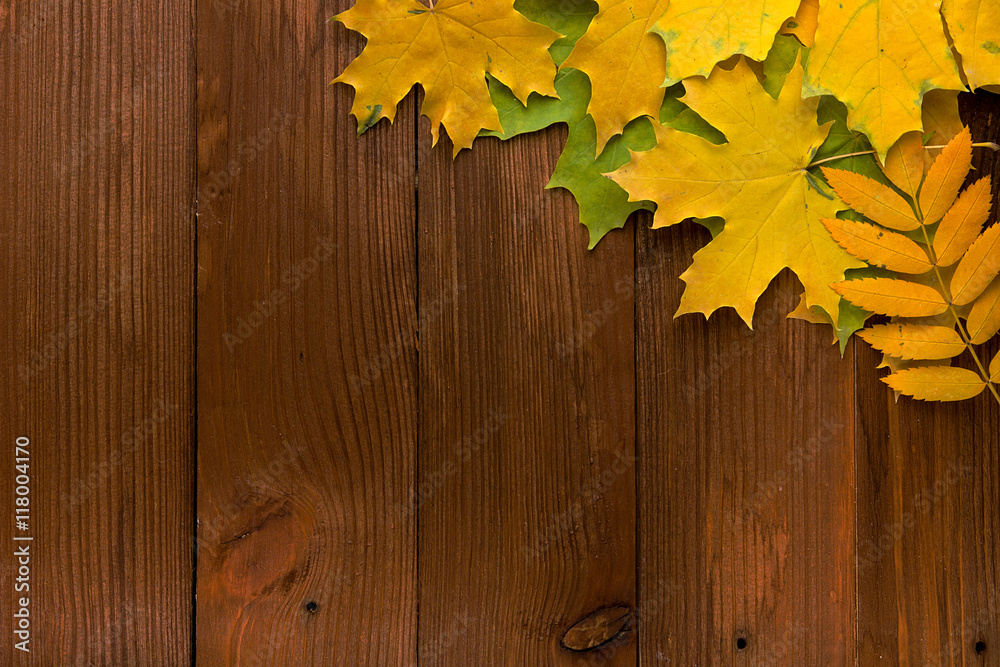 Autumn leaves over old brown wooden background with empty space Autumn leaves over old brown wooden background with empty space