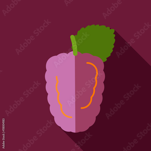 Blackberry bramble flat icon. Berry fruit