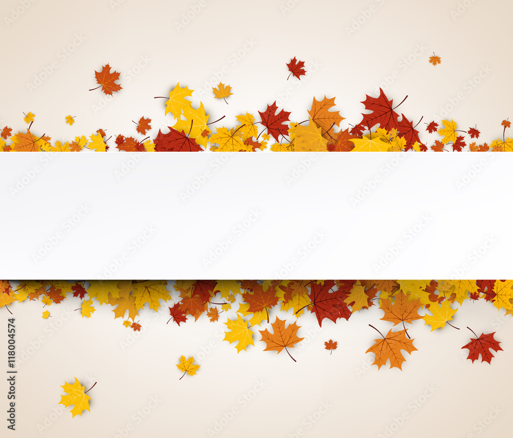 Autumn banner with maple leaves.