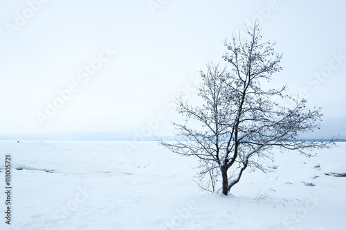 Finnish Gulf in winter