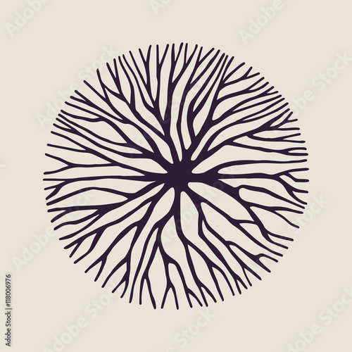Fotobehang Concept tree branch circle shape illustration