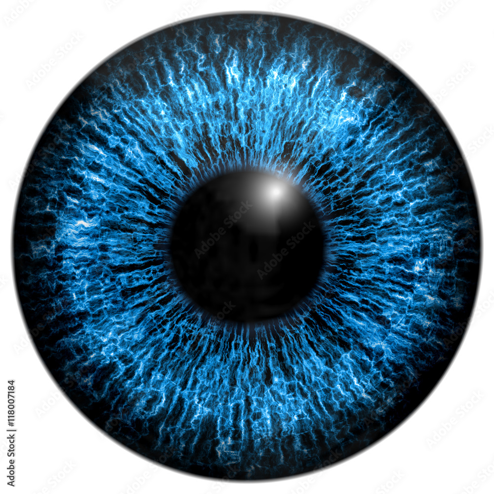 Eye iris generated hires texture Eye iris generated hires texture