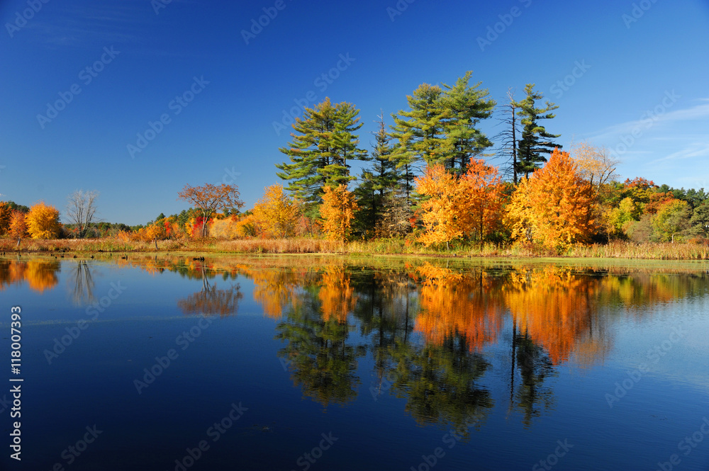 autumn colorful forest and sky reflecting in tranquil river
