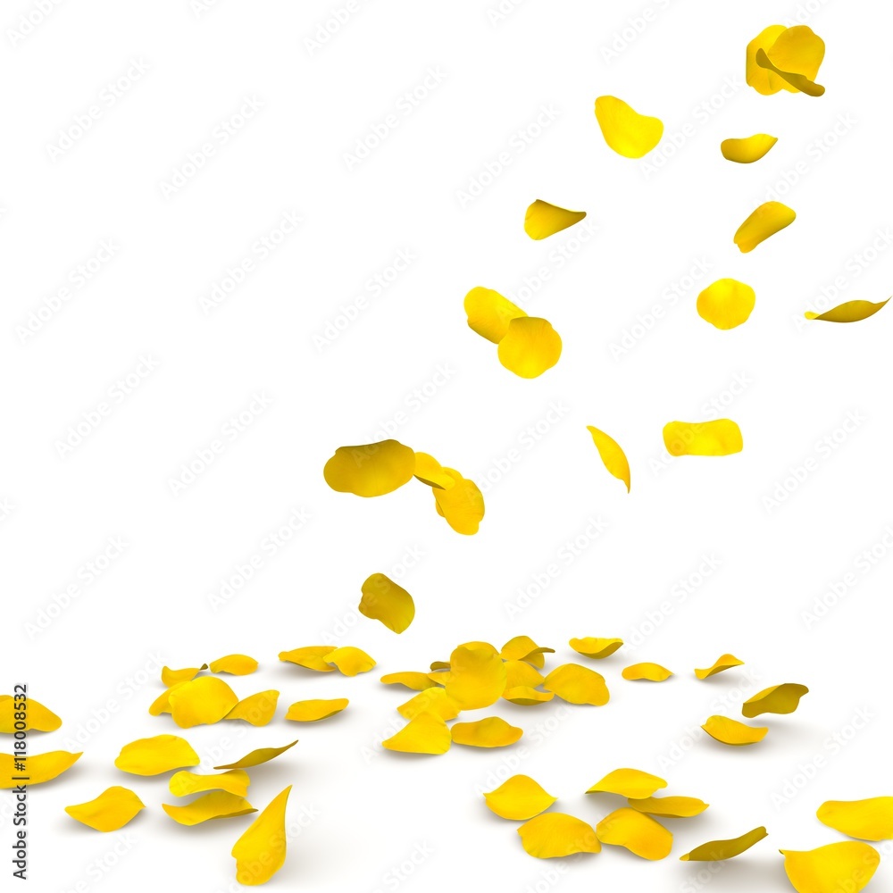 Yellow rose petals flying on the floor Yellow rose petals flying on the floor