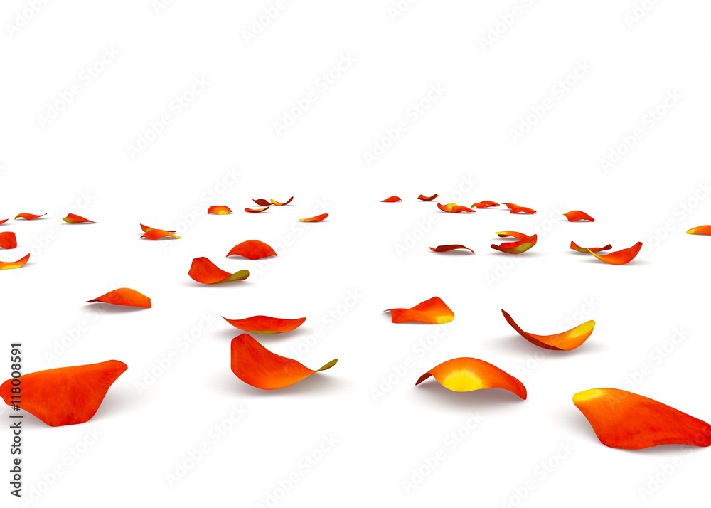 Orange rose petals flying on the floor Orange rose petals flying on the floor